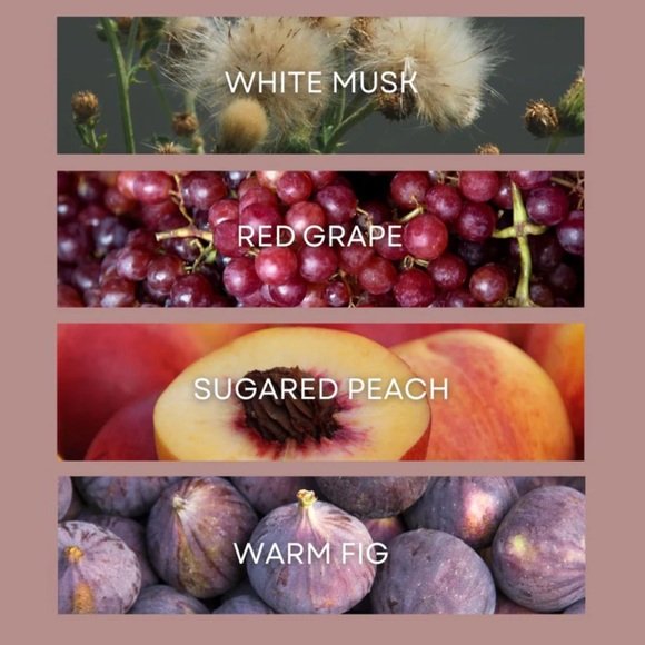 Brand New DW Home Ninety Six No 6 Candle - Picture 3 of 3